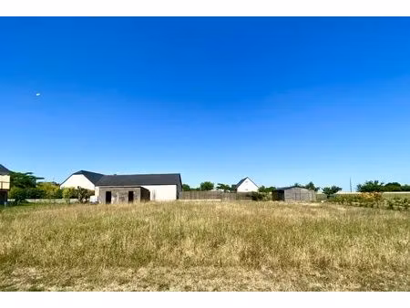 terrain a batir 1000m2 jarze centre