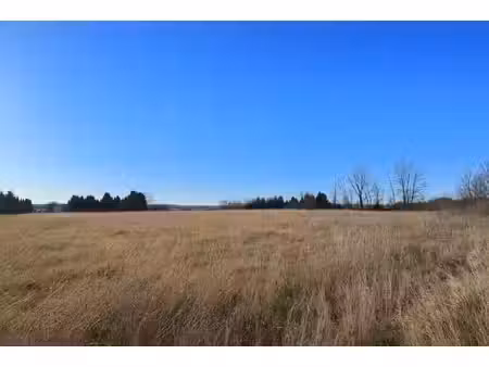 ref - terre2 - bram - terrain 7970m²