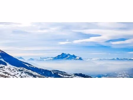 à acheter terrain 10 000 m² saint honoré