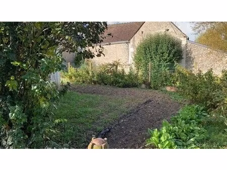 terrain viabilise athée sur cher (37 touraine)