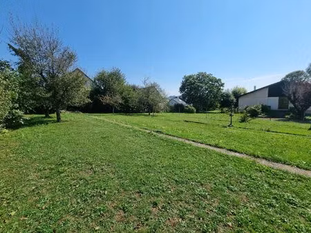 à vendre : terrain constructible à sarrebourg