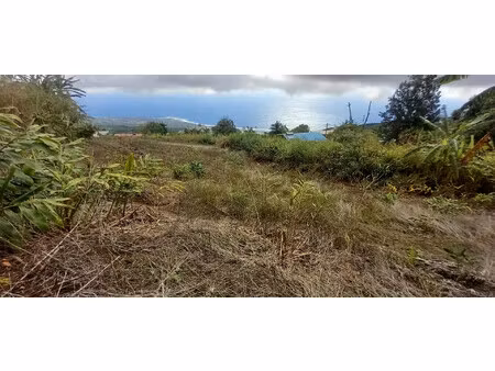 à vendre : terrain la chaloupe saint-leu – vue panoramique s