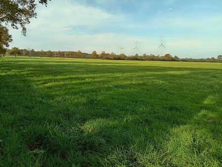 exploitation agricole - terrain - vallons de l'erdre