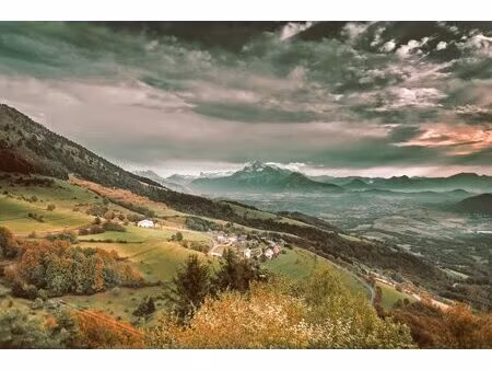 à acheter terrain 20 000 m² saint honoré