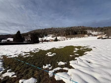 terrain agricole à acheter – 3 678 m² – constructibilité