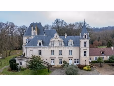 propriete à vendre 15 pièces soissons (02)