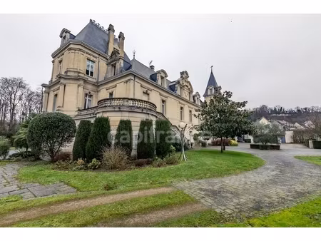 propriete à vendre 15 pièces soissons (02)