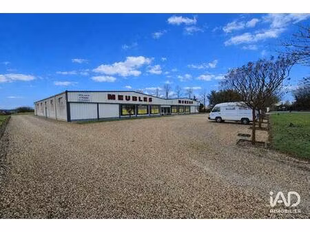 vente murs commerciaux 1 500 m²