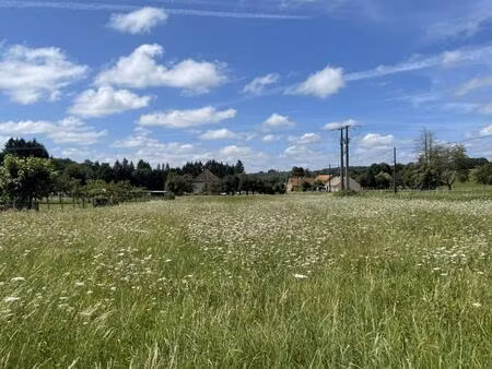 terrain constructible