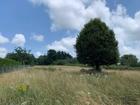 terrain constructible