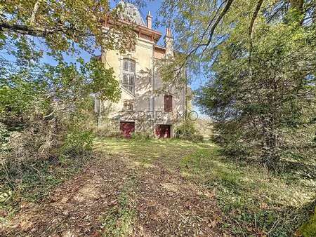 maison de luxe à vendre à tournus : 550 000 € | 331m²