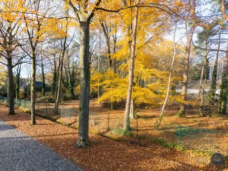 uitzonderlijke bouwgrond voor open bebouwing in prestigieuze villawijk te brasschaat