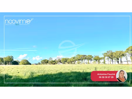 vente terrain constructible saint père en retz