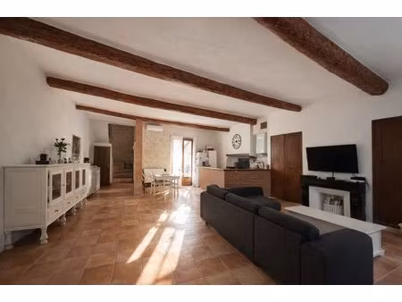 maison de village t5 de 179m2 de 3 niveaux avec terrasse et son coin cuisine d'ete