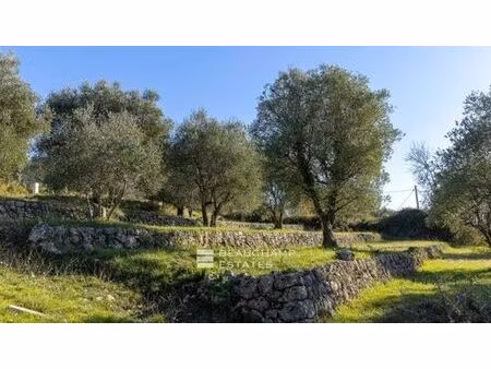 terrain de 2570 m2 en vente - opio  provence-alpes-côte d'azur