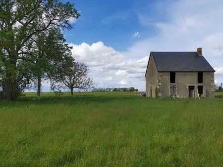 vente maison 2 pièces 120 m² cornusse (18350)