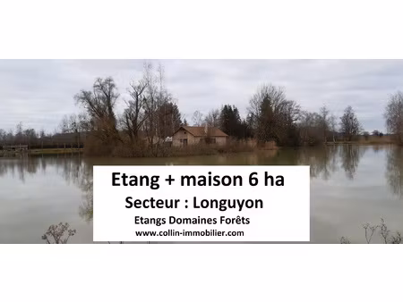 achat terrain 55 000m² longuyon 54260