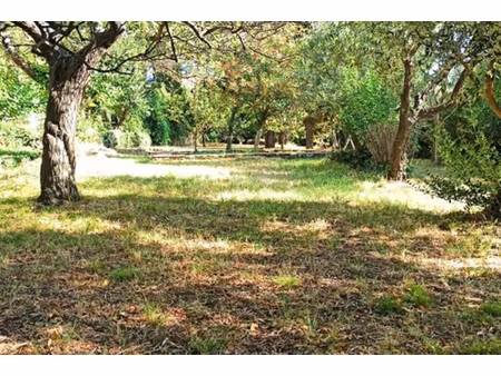 annonce terrain à vendre