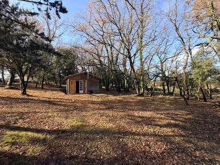 vente terrain 3205 m² cruviers-lascours (30360)