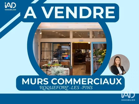 vente bureaux et commerces à roquefort-les-pins (06330) : à vendre / 134m² roquefort-les-p