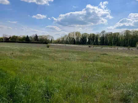 achat terrain 1 686m²