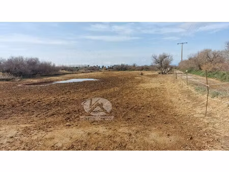 vente commerce 2533 m² sérignan (34410)