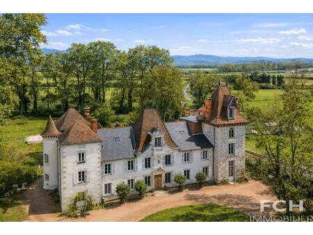 vente château 19 pièces