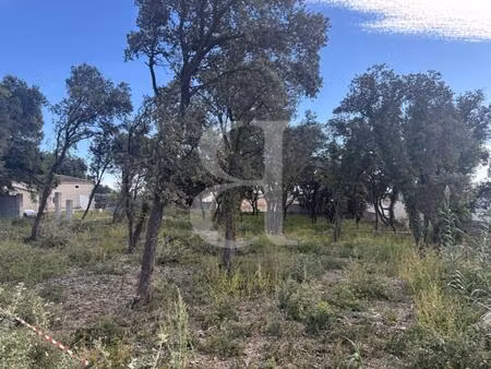 terrain à bâtir de 784 m² entre châteauneuf-du-pape et béda