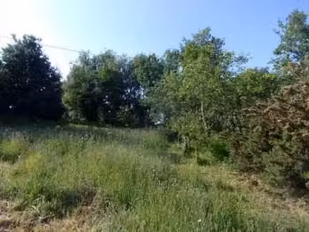 vente terrain à carentoir (56910) : à vendre / carentoir