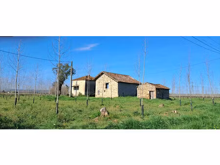 vente maison 2 pièces 35 m² montesquieu (47130)