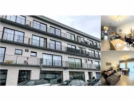 appartement à louer à ferdinand verbieststraat 7f ekeren (rbu90911)