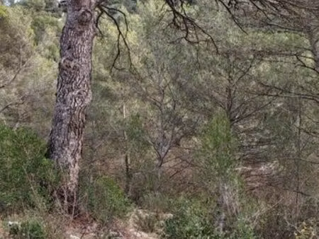 terrain 14000 m² auriol