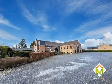 immeuble mixte à vendre avec garage et terrasse   blégny (vbd65754)