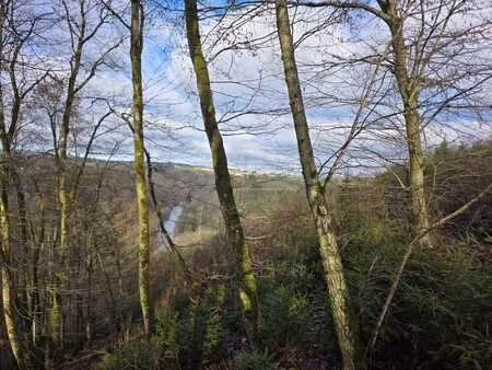 houffalize-rue du barrage: fond de bois de 2000 m²