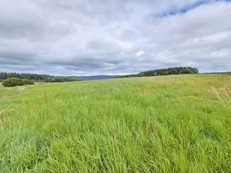 prairie libre d'occupation de 66 ares