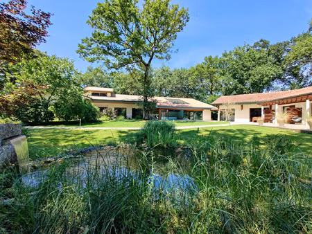 magnifique domaine avec chambres d'hôtes  l'homillon