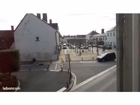 loue appartement 87 m2 le controis en sologne