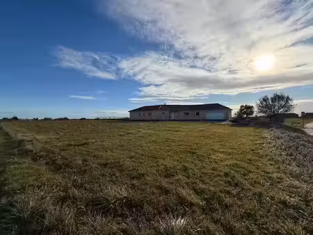 vente terrain 1495 m² à villenave-près-béarn (65500)  32 000 €