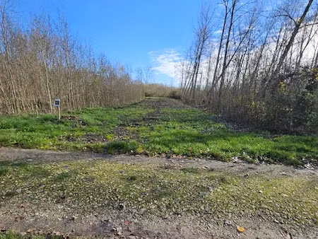 vente terrain 1360 m² à arçais (79210)  1 700 €