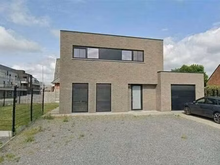 maison à louer à neerpelt € 1.475 (littw) - optimus vastgoed | zimmo