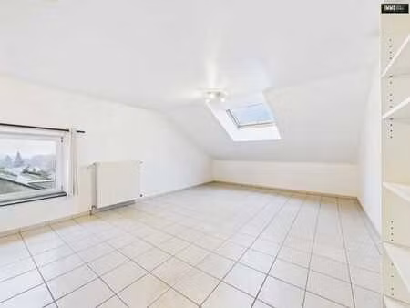 appartement à louer à sensenruth !