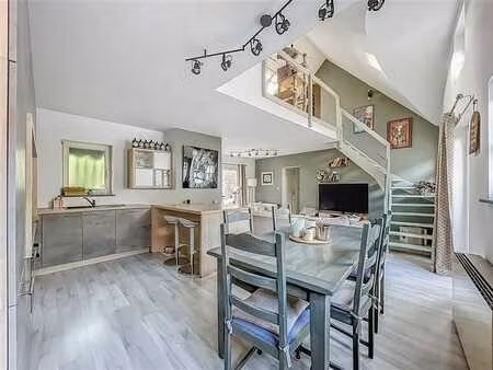 superbe appartement- duplex