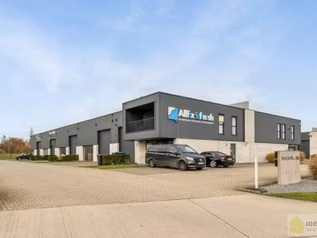 bien professionnel à louer à lommel € 1.800 (litf1) - idealis vastgoed | zimmo