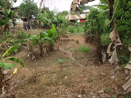 vente terrain 745 m² à saint joseph (97212)  72 000 €