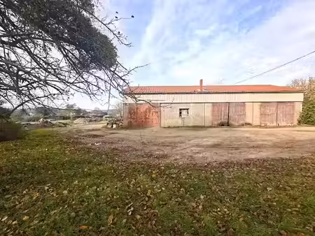 vente locaux professionnels 2700 m² à archettes (88380)  159 500 €