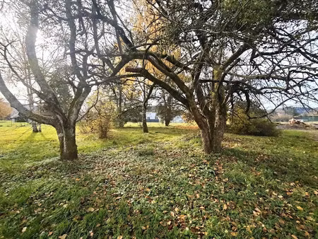 vente terrain 2700 m² à archettes (88380)  159 500 €