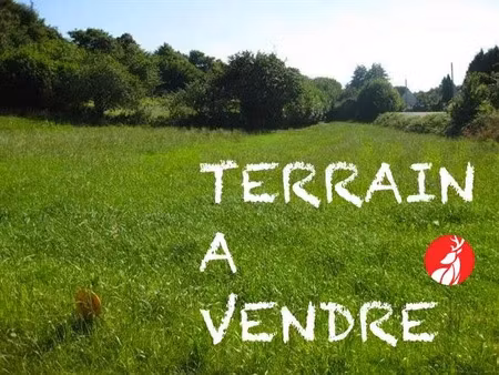 vente terrain à ury (77760)  115 000 €