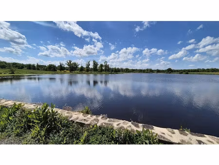 vente terrain 171986 m² à le dorat (87210)  925 000 €