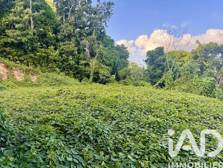 vente terrain 819 m² à les abymes (97139)  160 000 €