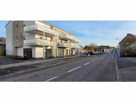 vente locaux professionnels 72.94 m² à falck (57550)  137 800 €